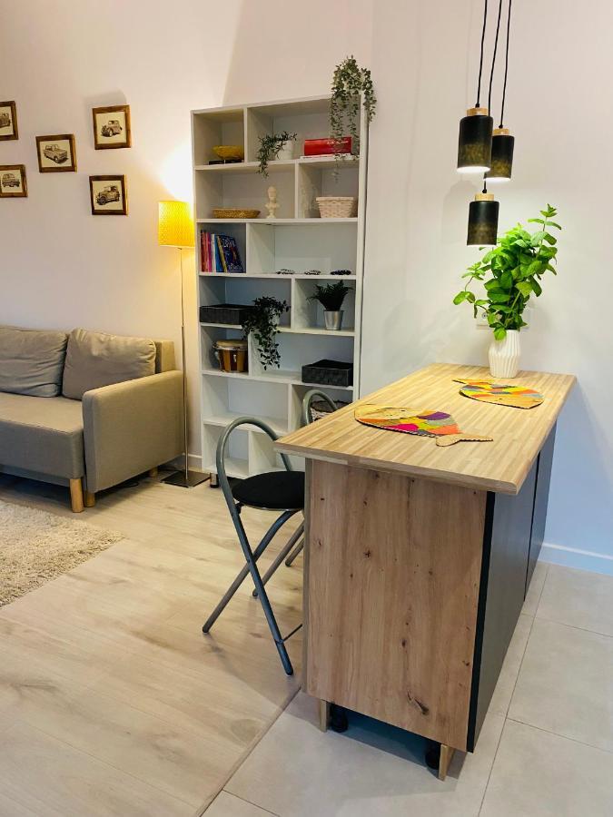Countryside Studio Borzecin Duzy ภายนอก รูปภาพ