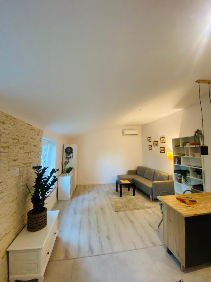Countryside Studio Borzecin Duzy ภายนอก รูปภาพ