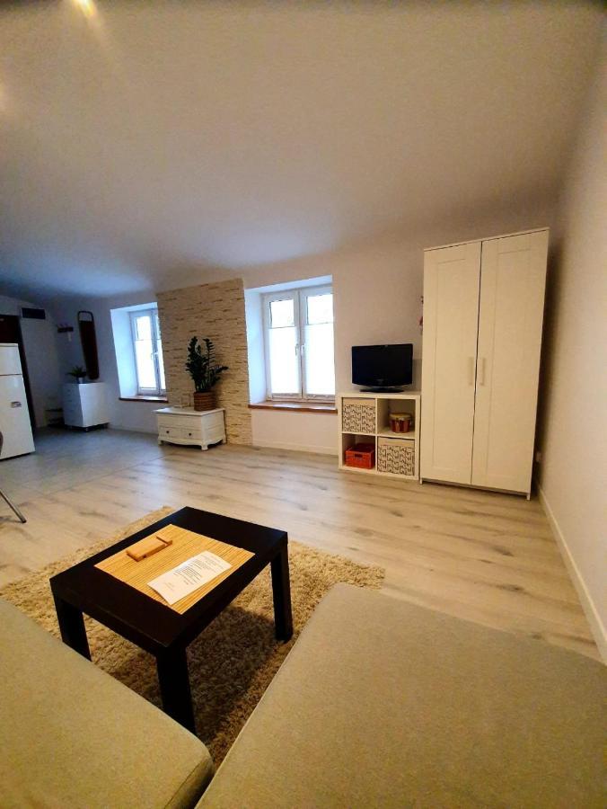 Countryside Studio Borzecin Duzy ภายนอก รูปภาพ