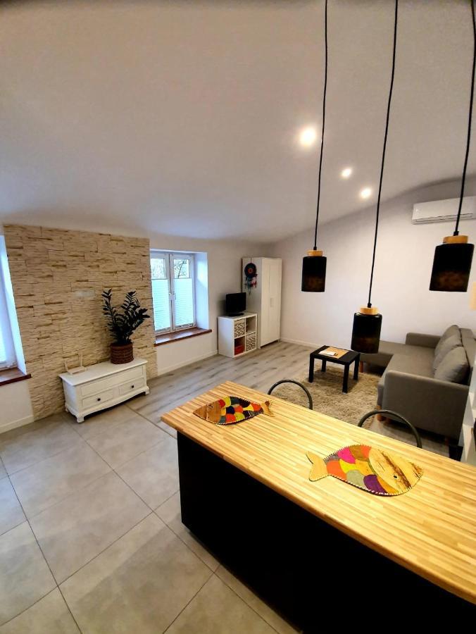 Countryside Studio Borzecin Duzy ภายนอก รูปภาพ
