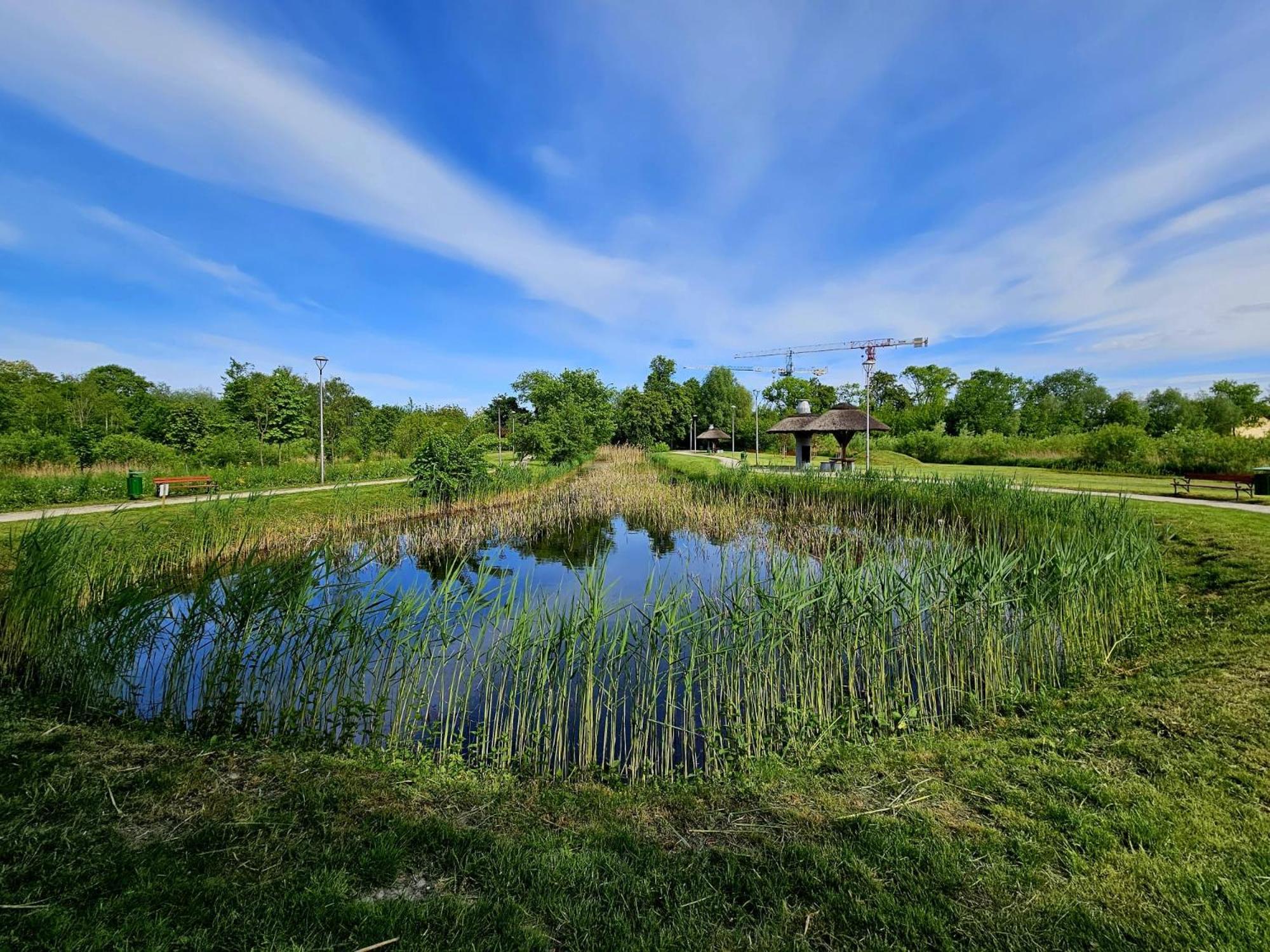 Countryside Studio Borzecin Duzy ภายนอก รูปภาพ